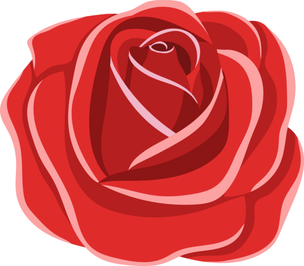 Bu resim kırmızı bir gülün büyüleyici dijital bir illüstrasyonudur. Yapraklar, derinlik ve güzellik hissi veren spiral bir düzende dizilmiş. Siyah üzerine izole edilmiş..