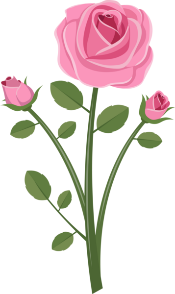 İki gül tomurcuğuyla çiçek açan pembe bir gülün çizimi. Siyah arka planda yeşil yaprakları ve sapları var. Grafik biçimi düz ve basit.