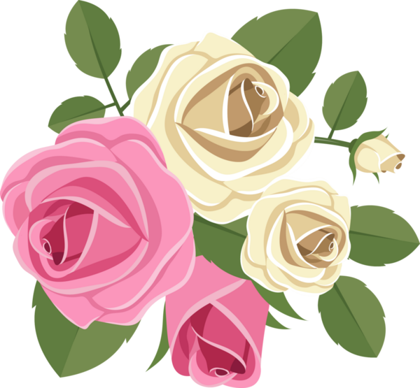 Kapalı ve açık yapraklı pembe ve kremalı güller koyu yeşil yapraklarla çevrili, hepsi de siyah bir zemine karşı. Resimler çok renkli..