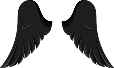 Bu resim, siyah bir arkaplana karşı koyu renkli simetrik bir çift kanat içerir. Kanatlar açılır, uçmak ya da fantezi kurmak için.