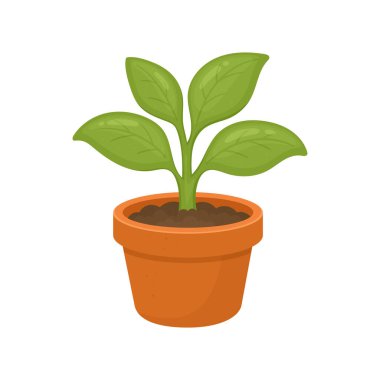 Bir çizgi film çizimi parlak yeşil yapraklı genç bir bitkinin koyu kahverengi toprakla dolu turuncu bir terasotta kabında büyümesini ve doğayı sembolize ederek büyümesini tasvir eder..