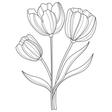 Çiçek. Doğrusal çiçekler. Botanik. Soyut doğrusal çiçek. Bir çiçeğin vektör çizimi