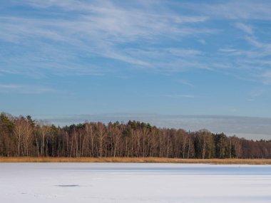 Frozen and snow-covered Echo Ponds in Roztocze National Park.
