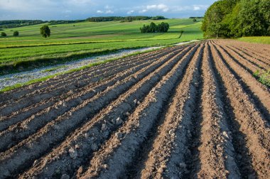Bahar'ın sürülmüş alana
