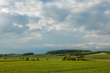 Yeşil tarlalı ve gökyüzüyle manzara