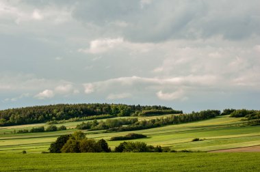 tarla ve mavi gökyüzü