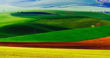 Moravya 'daki yeşil tepeler