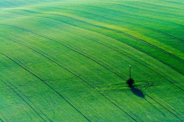 Dealuri Verzi Moravia — Fotografie, imagine de stoc