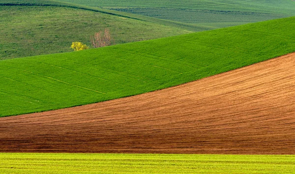 Verdes Colinas Moravia — Foto de Stock