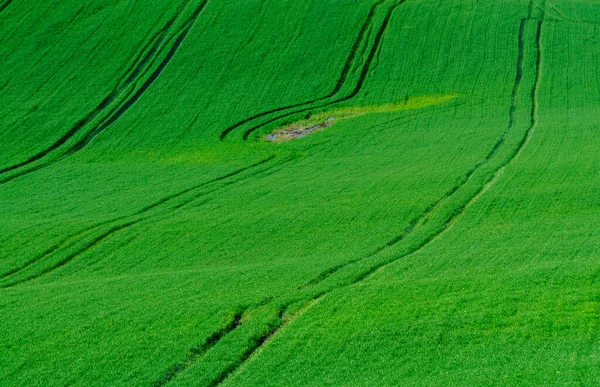 Verdes Colinas Moravia — Foto de Stock
