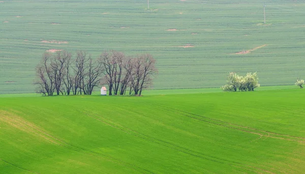 Zielone Wzgórza Morawii — Zdjęcie stockowe