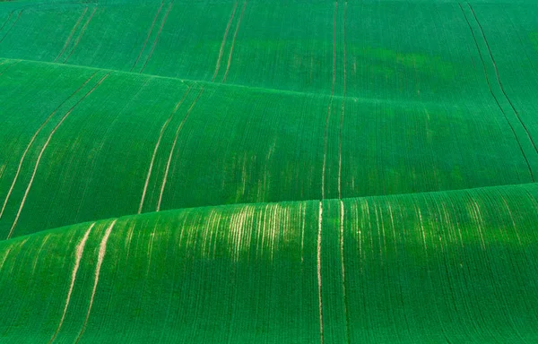 モラビアの緑の丘 — ストック写真