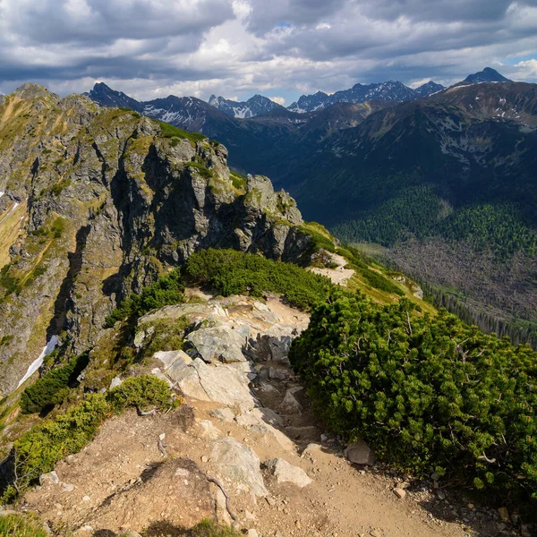 Dağ yolu, Tatra Ulusal Parkı 'nda yürüyüş yolu.