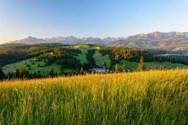 Yaz mevsiminde dağlar. Sabah, Podhale 'nin tepelerinin ve Tatra Dağları' nın tepelerinin yamaçlarını aydınlatan alçak güneş. Podhale 'den görüntü. Ön planda güzel bir çayır..