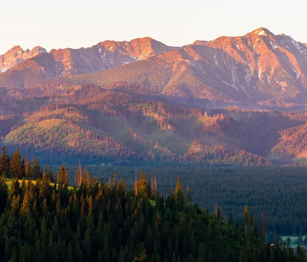 Mountains Summertime First Rays Sun Dawning Tops Tatra Mountains View — Stock Photo, Image