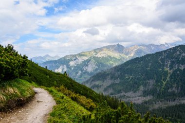 Tatra Ulusal Parkı 'nın zirveleri manzaralı bir dağ manzarası.