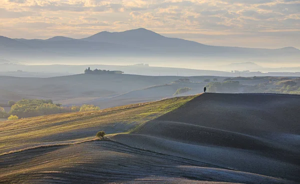 Ländliche Landschaft Toskana Licht Der Untergehenden Sonne — Stockfoto