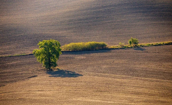 Paisagem Ural Toscana Luz Pôr Sol — Fotografia de Stock