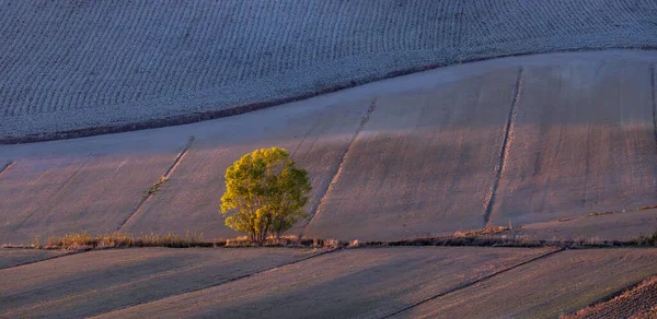 Paisagem Rural Toscana Luz Pôr Sol — Fotografia de Stock