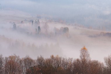 Sabah sisiyle kaplı dağ yamaçları.