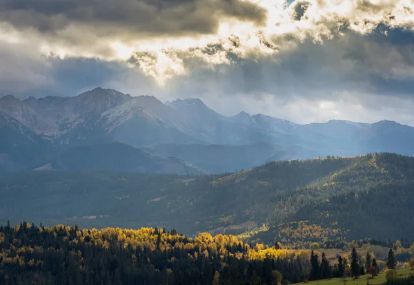 Podzimní Stromy Pokryté Žlutými Listy Ozářenými Sluncem Dálce Vidět Tatranské — Stock fotografie
