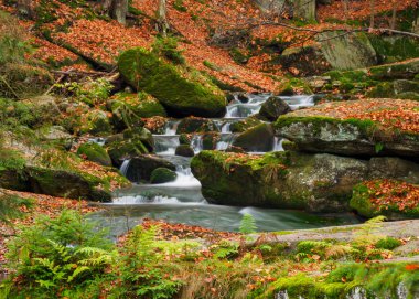 Karkonosze Ulusal Parkı 'nda şelale. Sonbaharda dağ deresi 