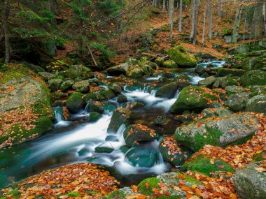 Karkonosze Ulusal Parkı 'nda şelale. Sonbaharda dağ deresi 