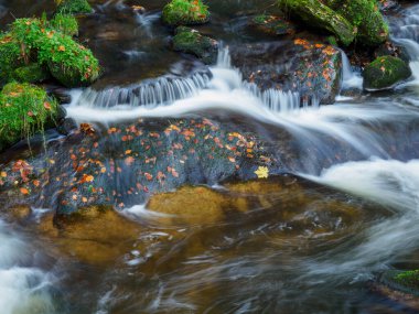 Karkonosze Ulusal Parkı 'nda şelale. Sonbaharda Dağ Nehri 