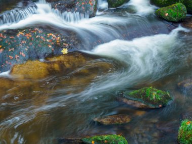 Karkonosze Ulusal Parkı 'nda şelale. Sonbaharda Dağ Nehri 