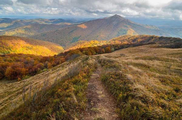 Autumn in the mountains. Meadows and mountains. Gold colored grassland. View from Wetlinska Polonina to Carynska Polonina. Tourist hiking trail
