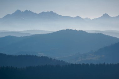 Dağ manzarası... Birçok görünür plan - tepe sıraları. Slovakya 'nın Pieniny Dağları' ndan Tatra Dağları manzarası.