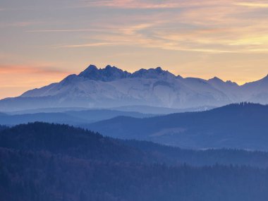 Sabahları peyzaj. Vadide sis var. Slovakya 'nın Pieniny Dağları' ndan Tatra Dağları manzarası.