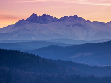 Sabahları peyzaj. Vadide sis var. Slovakya 'nın Pieniny Dağları' ndan Tatra Dağları manzarası.