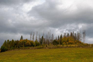 Sonbahar Dağı manzarası. Dramatik bir gökyüzü. Ön plandaki sonbahar ağaçlarında. Zilina Bölgesi. Liptovske Matiasovce. Slovakya