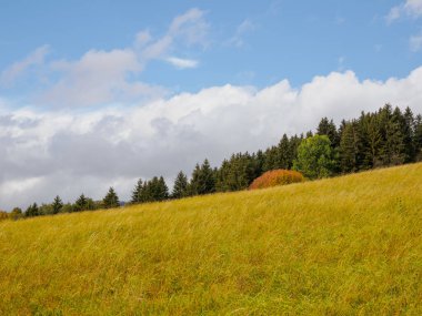 Sonbahar Dağı manzarası Hoczanskie Dağları Sıradağları. Zilina Bölgesi. Beszeniowa Slovakya.