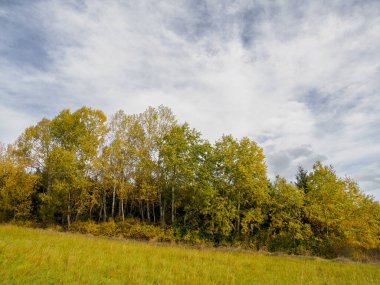 Sonbahar Dağı manzarası. Dramatik bir gökyüzü. Ön plandaki sonbahar ağaçlarında. Zilina Bölgesi. Beszeniowa 'da. Slovakya