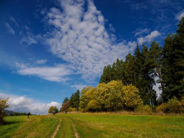 Sonbahar Dağı manzarası Hoczanskie Dağları Sıradağları. Bir grup turist yolda. Zilina Bölgesi. Beszeniowa Slovakya.