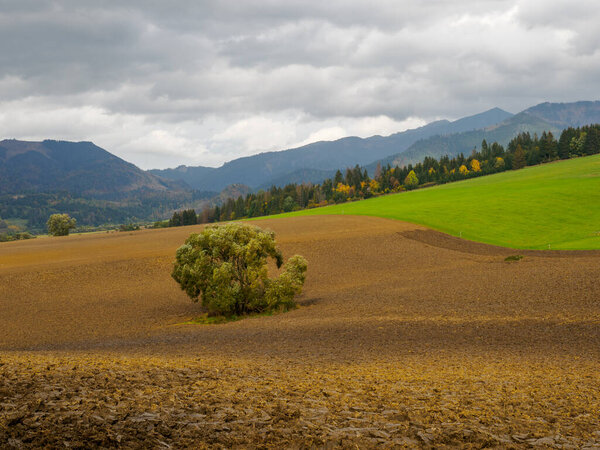 Autumn Mountain Landscape. View of the Low Tatras. Zilina Region. Beszeniowa. Slovakia.