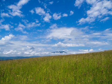 Saha yolu olan bir manzara. Ön planda, çayırdan önce bir çayır. Uzakta Zilina Bölgesi 'nde bulutlarla çevrili bir dağ zirvesi görebilirsiniz. Slovakya.