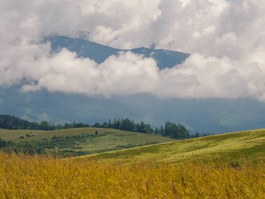Saha yolu olan bir manzara. Ön planda, çayırdan önce bir çayır. Uzakta Zilina Bölgesi 'nde bulutlarla çevrili bir dağ zirvesi görebilirsiniz. Slovakya.