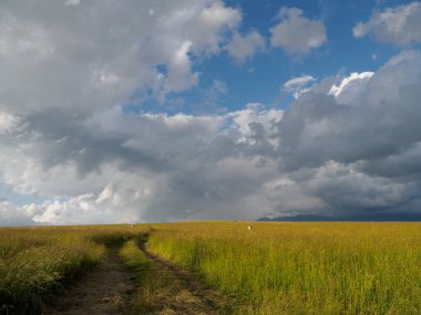 Saha yolu olan bir manzara. Ön planda, çayırdan önce bir çayır. Zilina Bölgesi. Slovakya.