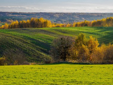 Bir sonbahar tarım arazisi.. Burada sonbahar tarlalarını resmeden bir resim var. Resimli tarlalar, sonbahar renklerinde ağaçlar ve huzurlu bir kırsal alan. Roztocze. Polonya.