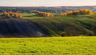 Bir sonbahar tarım arazisi.. Burada sonbahar tarlalarını resmeden bir resim var. Resimli tarlalar, sonbahar renklerinde ağaçlar ve huzurlu bir kırsal alan. Roztocze. Polonya.