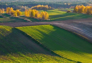 Bir sonbahar tarım arazisi.. Burada sonbahar tarlalarını resmeden bir resim var. Resimli tarlalar, sonbahar renklerinde ağaçlar ve huzurlu bir kırsal alan. Roztocze. Polonya.