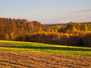 Bir sonbahar tarım arazisi.. Burada sonbahar tarlalarını resmeden bir resim var. Resimli tarlalar, sonbahar renklerinde ağaçlar ve huzurlu bir kırsal alan. Roztocze. Polonya.