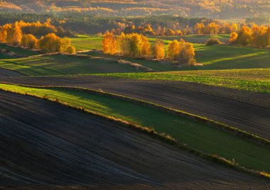 Bir sonbahar tarım arazisi.. Burada sonbahar tarlalarını resmeden bir resim var. Resimli tarlalar, sonbahar renklerinde ağaçlar ve huzurlu bir kırsal alan. Roztocze. Polonya.