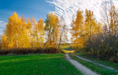 Resim, güzel bir sonbahar tarım manzarasını tasvir ediyor. Ön planda, çeşitli yeşillik tonlarında tarlalar var, taze bitki örtüsü ile kaplanmış ve ekilme izleri var. Arka planda, ağaçlarla dolu canlı bir orman var.