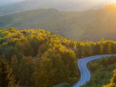 Dağlarda sonbahar sabahı. Ağaçlarla çevrili dolambaçlı bir yol. Slovakya.