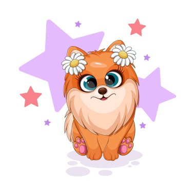 Küçük köpek, kafasında çiçekler, yıldızlar, komik kartlar olan Pomeranya salyası.