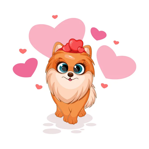 Cão Bonito Dos Desenhos Animados Spitz Pomeranian Com Corações Cartão —  Vetores de Stock